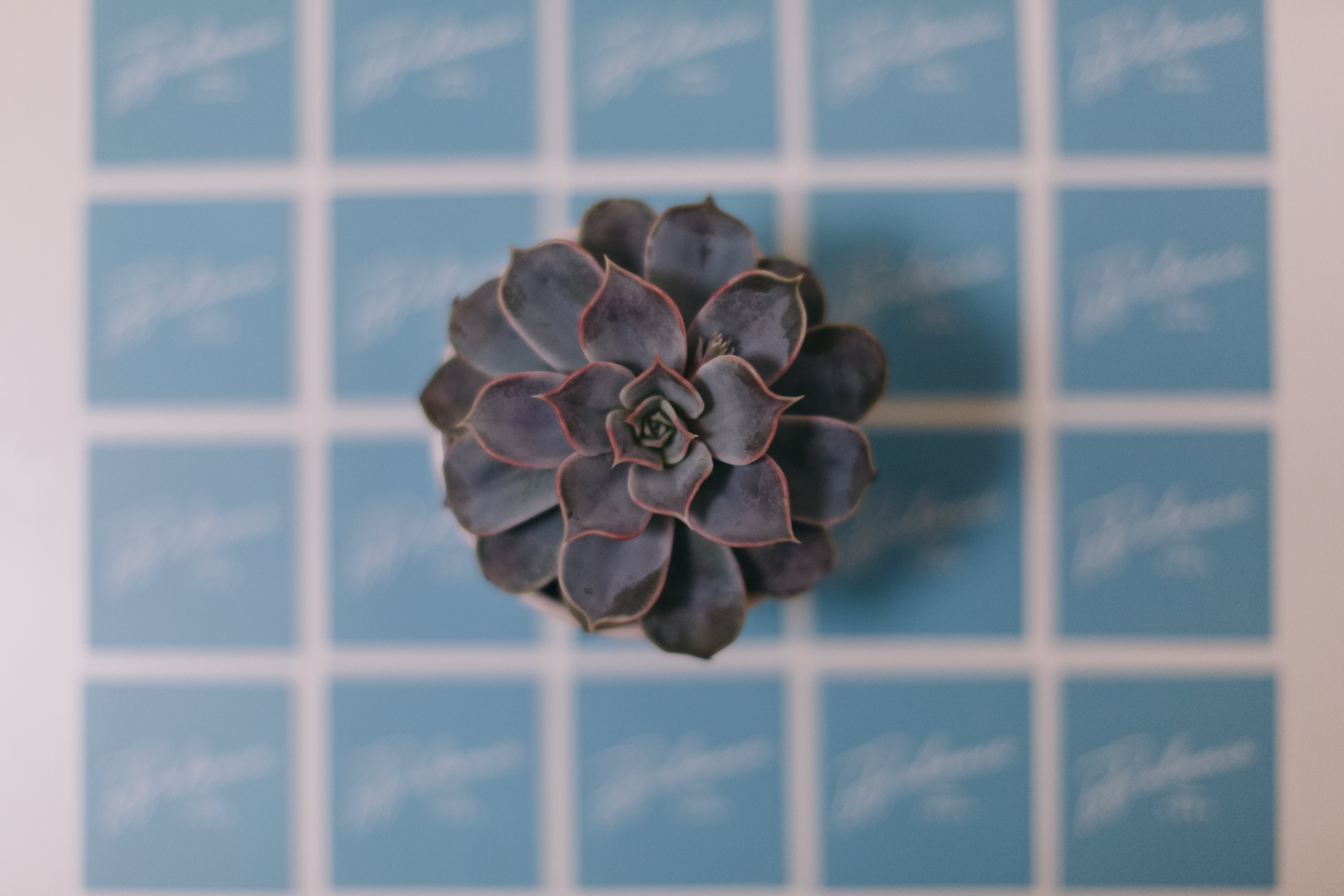 caritophotography-bbalanceyoga-hq-15